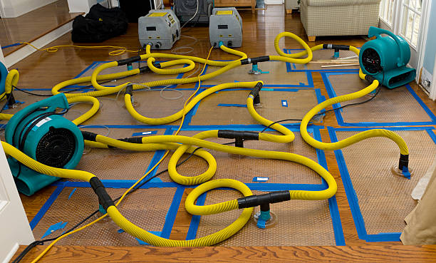 Professional Water Damage Repair technician working in Nunica, MI